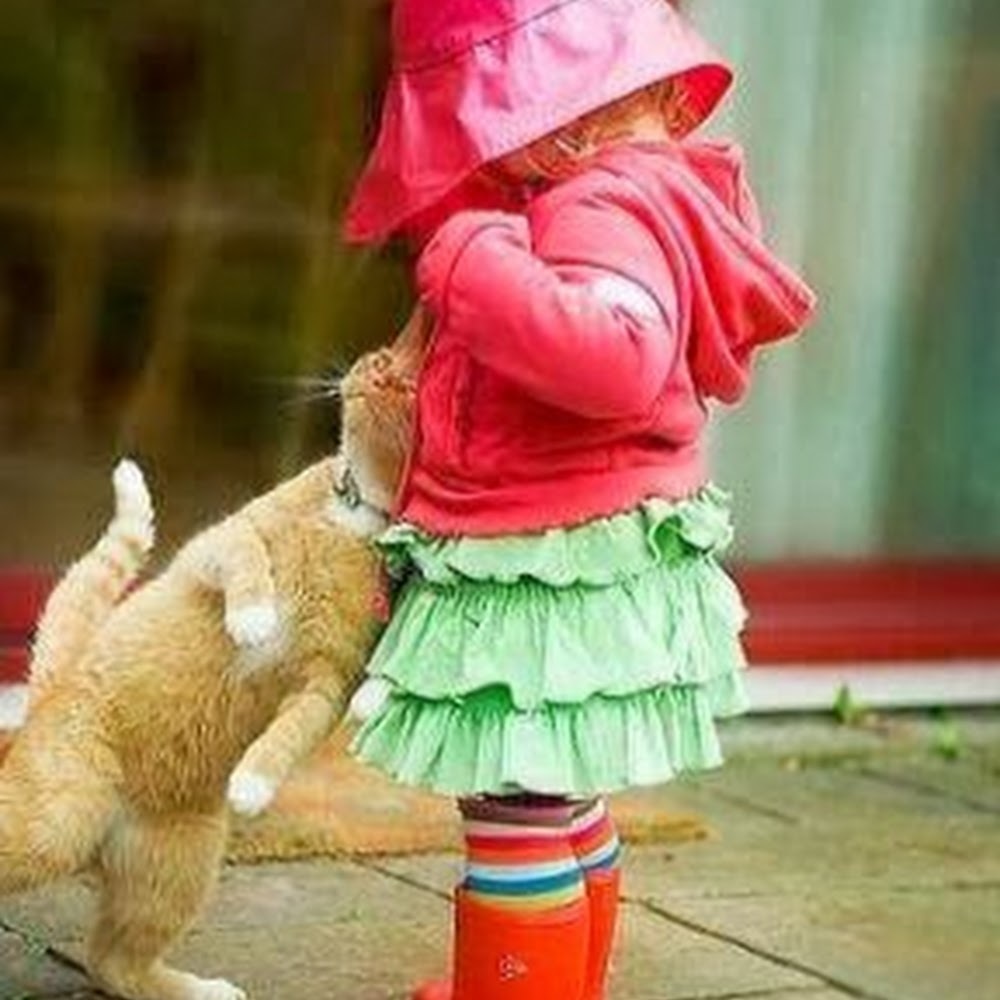 Meet your Posher, Wang